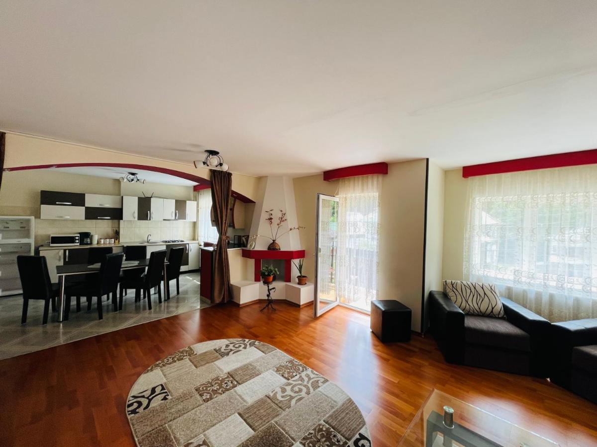Apartament Extralarge Buşteni Exterior foto